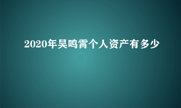 2020年吴鸣霄个人资产有多少