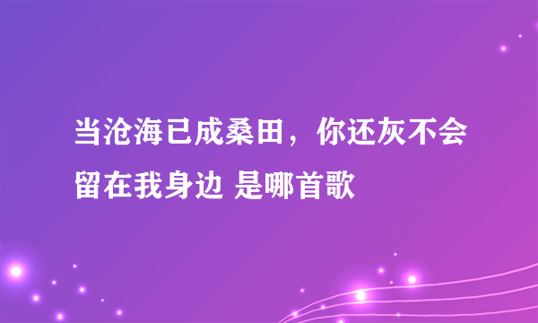 当沧海已成桑田，你还灰不会留在我身边 是哪首歌