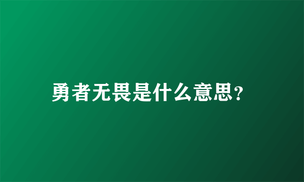 勇者无畏是什么意思？