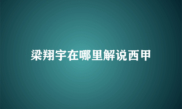 梁翔宇在哪里解说西甲