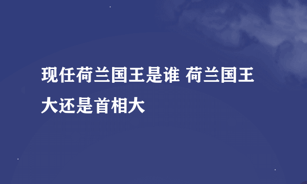 现任荷兰国王是谁 荷兰国王大还是首相大