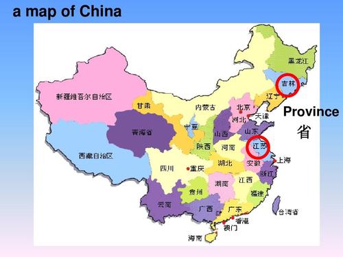 map的中文是什么?