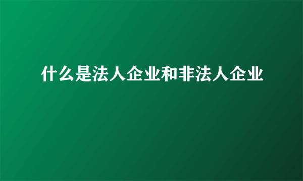 什么是法人企业和非法人企业