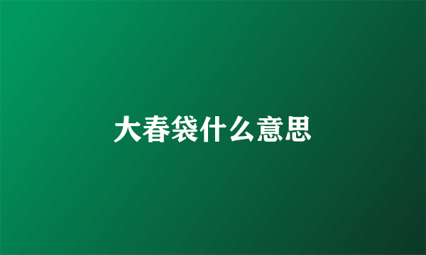 大春袋什么意思