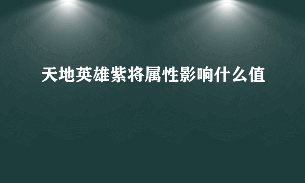 天地英雄紫将属性影响什么值