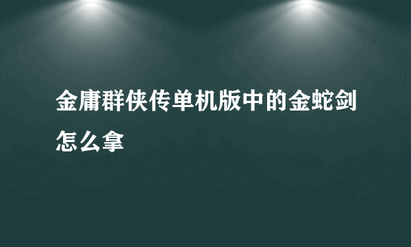 金庸群侠传单机版中的金蛇剑怎么拿