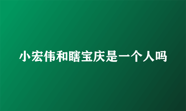 小宏伟和瞎宝庆是一个人吗