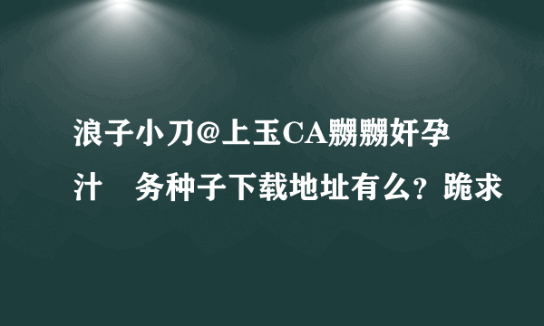 浪子小刀@上玉CA嬲嬲奸孕汁乗务种子下载地址有么？跪求