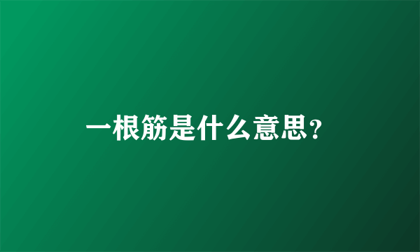 一根筋是什么意思？