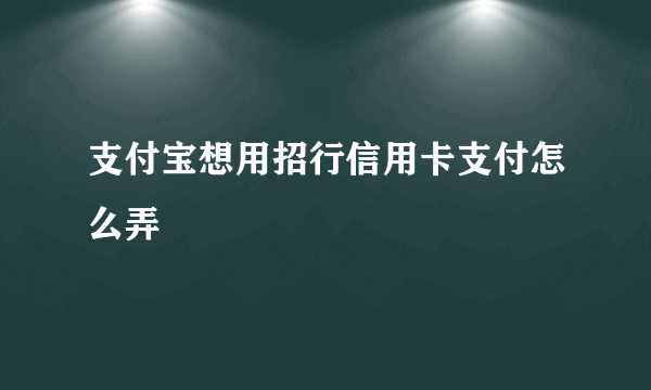 支付宝想用招行信用卡支付怎么弄