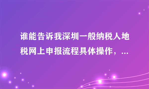 谁能告诉我深圳一般纳税人地税网上申报流程具体操作，新手。。。谢谢！