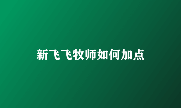 新飞飞牧师如何加点