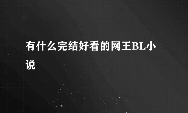 有什么完结好看的网王BL小说