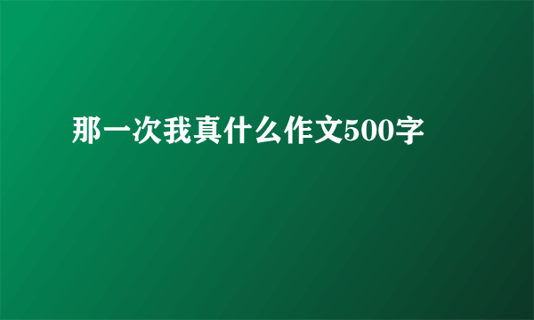 那一次我真什么作文500字