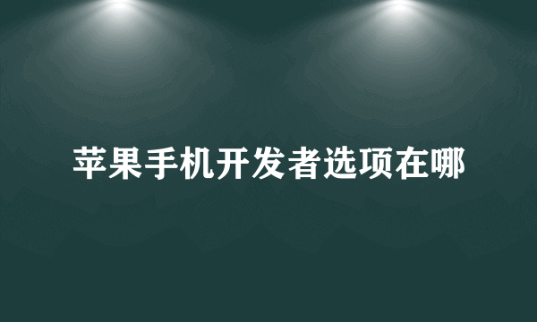 苹果手机开发者选项在哪