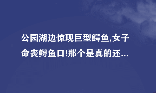 公园湖边惊现巨型鳄鱼,女子命丧鳄鱼口!那个是真的还是假的啊