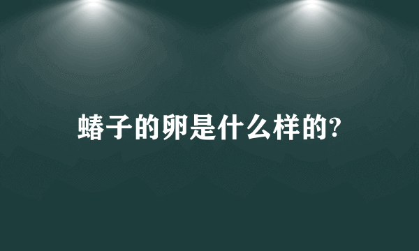 蝽子的卵是什么样的?