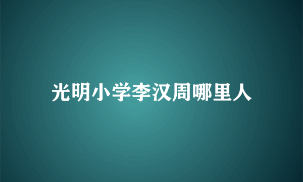 光明小学李汉周哪里人