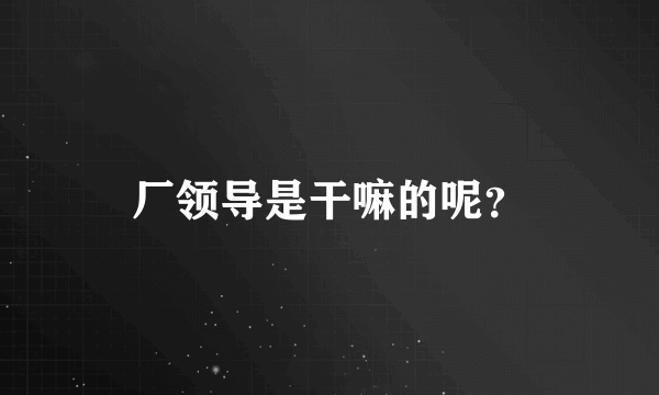 厂领导是干嘛的呢？