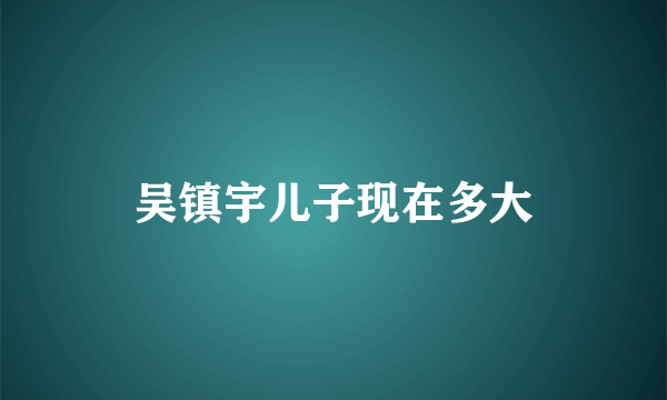 吴镇宇儿子现在多大