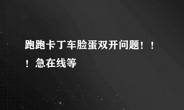 跑跑卡丁车脸蛋双开问题！！！急在线等