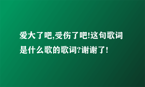 爱大了吧,受伤了吧!这句歌词是什么歌的歌词?谢谢了!