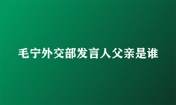 毛宁外交部发言人父亲是谁