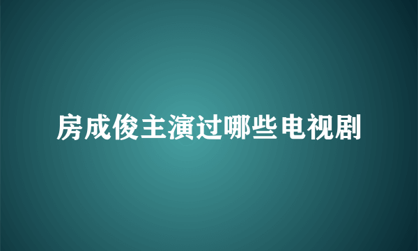 房成俊主演过哪些电视剧