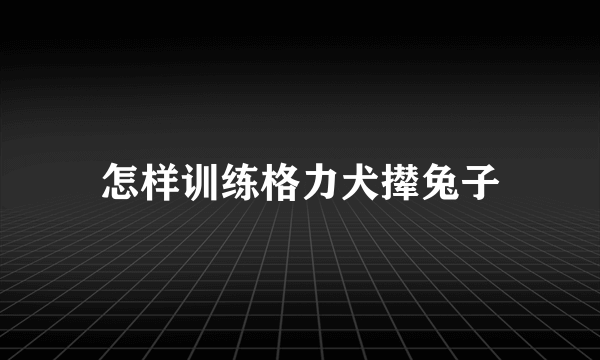 怎样训练格力犬撵兔子