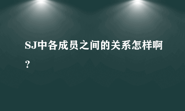 SJ中各成员之间的关系怎样啊？