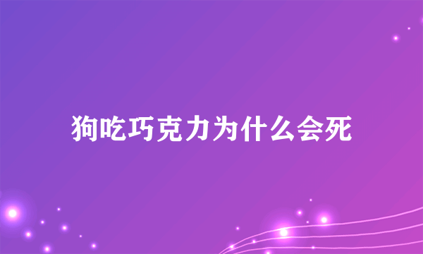 狗吃巧克力为什么会死