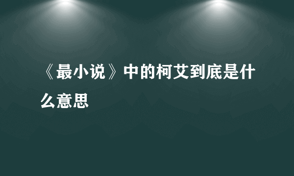 《最小说》中的柯艾到底是什么意思