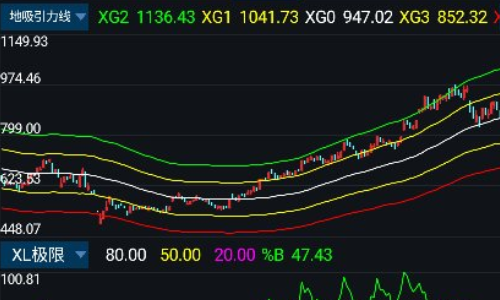 怎样才能把胡立阳的立阳地心引力线设置在同花顺上——急急急