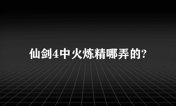 仙剑4中火炼精哪弄的?