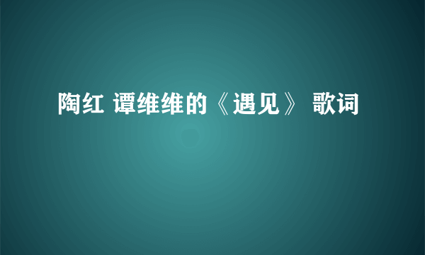 陶红 谭维维的《遇见》 歌词