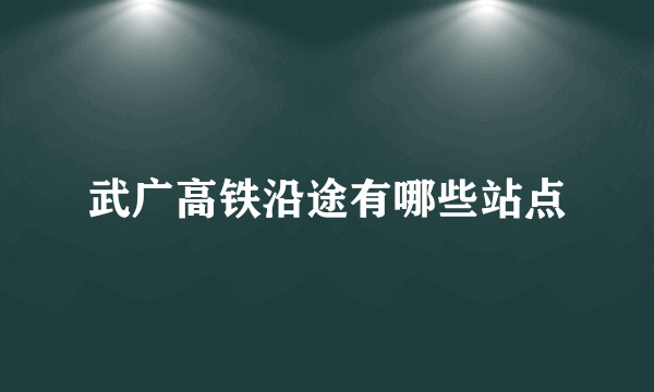 武广高铁沿途有哪些站点