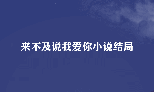 来不及说我爱你小说结局