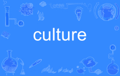 culture是什么意思