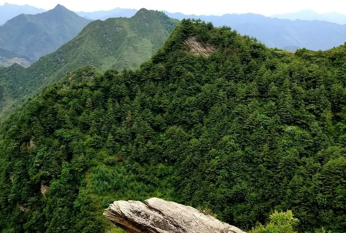 洛塘是哪个省的城市？