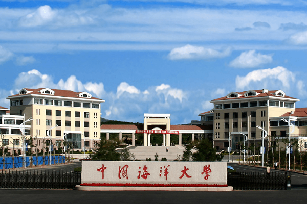 山东有大学哪些