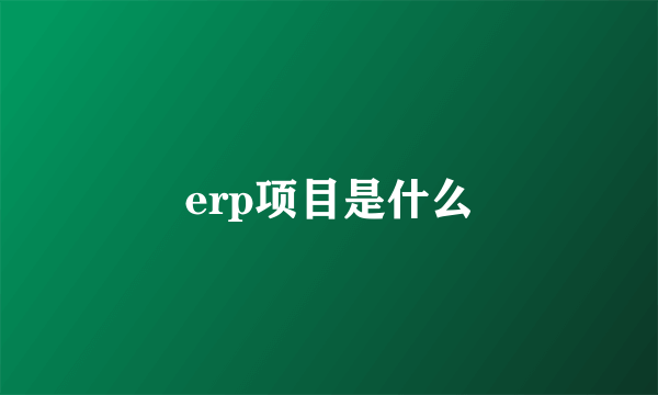 erp项目是什么