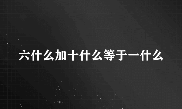 六什么加十什么等于一什么