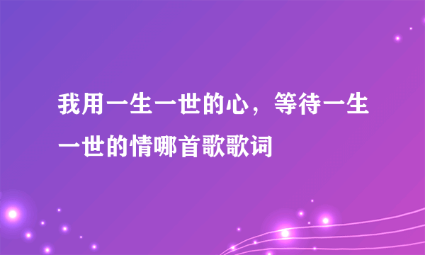 我用一生一世的心，等待一生一世的情哪首歌歌词