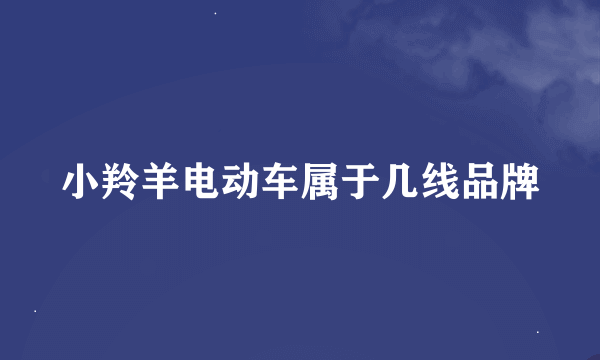 小羚羊电动车属于几线品牌