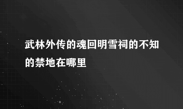 武林外传的魂回明雪祠的不知的禁地在哪里