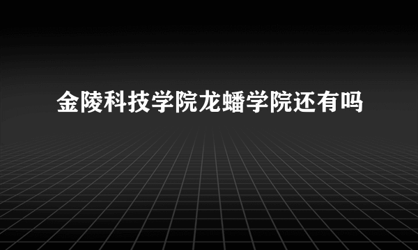 金陵科技学院龙蟠学院还有吗