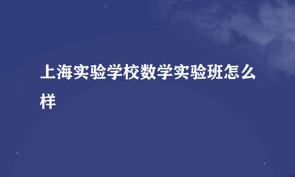 上海实验学校数学实验班怎么样