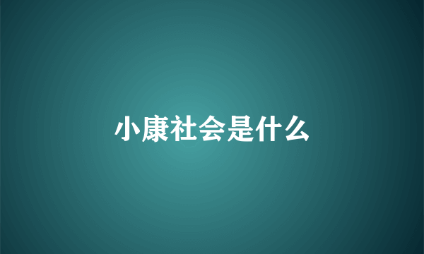 小康社会是什么