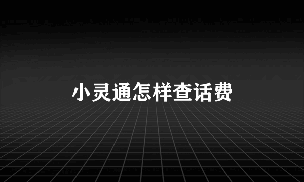 小灵通怎样查话费