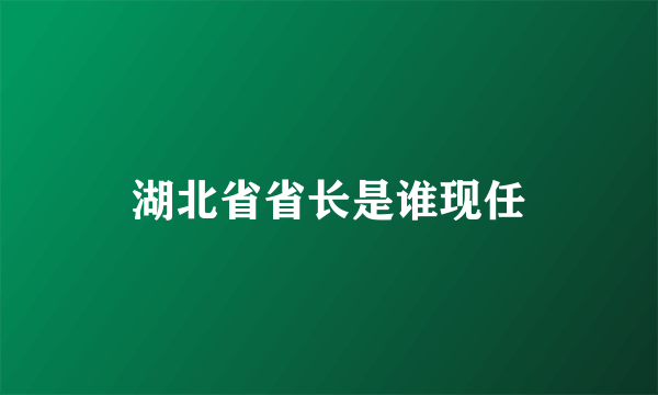 湖北省省长是谁现任